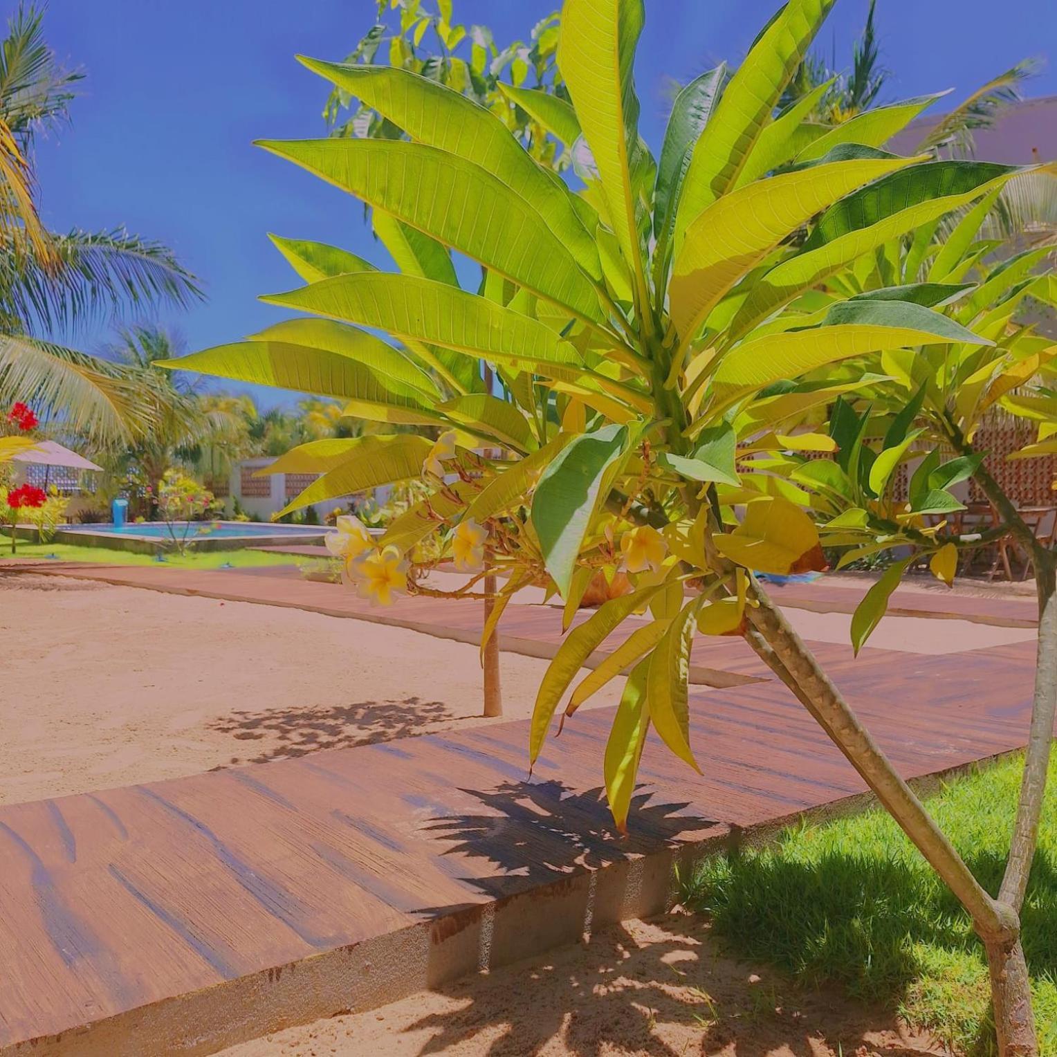 Condominio Shalom Beach Canoa Quebrada Exteriör bild